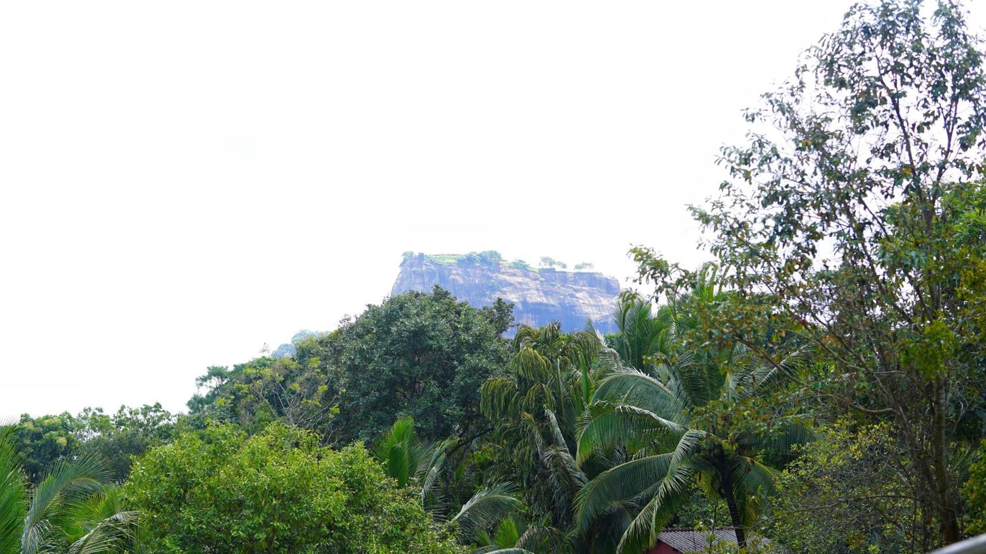 Sigiri Dilu Villa Sigiriya Exterior foto